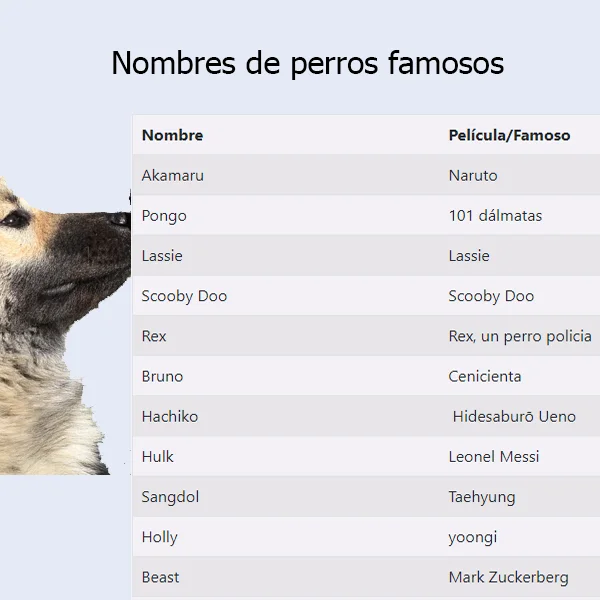 Más de 100 Nombres para Perros - cortos y bonitos
