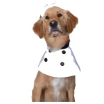 10 Recetas de Comida Casera para Perros - Fáciles deliciosas