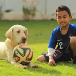 20 mejores razas de perros ideales para niños y familias