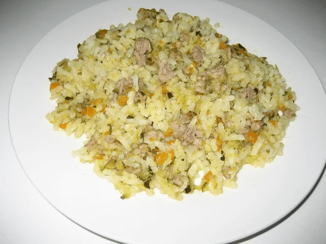 Carne picada con arroz y zanahoria para tu perro