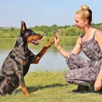 Como Educar a un Perro Adulto y Cachorro - Consejos