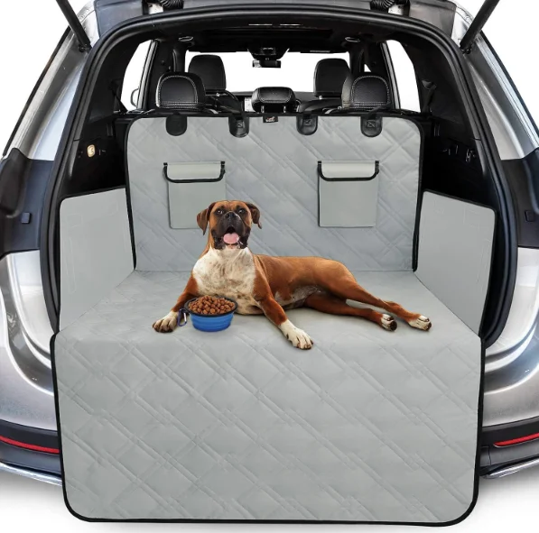 Perro viajando en maletera de un carro, auto coche