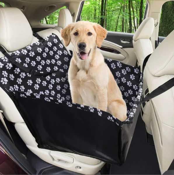 Perro viajando en transportin dentro de un coche