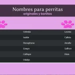 Nombres para perritas