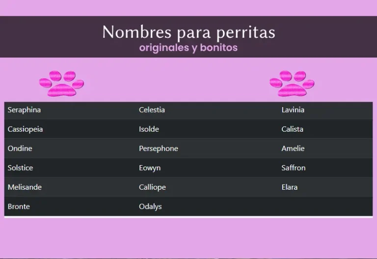 Nombres para perritas