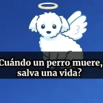 Cuándo un Perro Muere, Salva una Vida