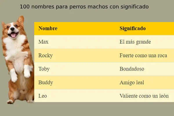 100 nombres para perros machos con significado