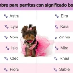 Nombre para perritas con significado bonito y original✅2024