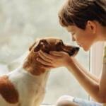 Consejos esenciales para mantener sano a tu perro